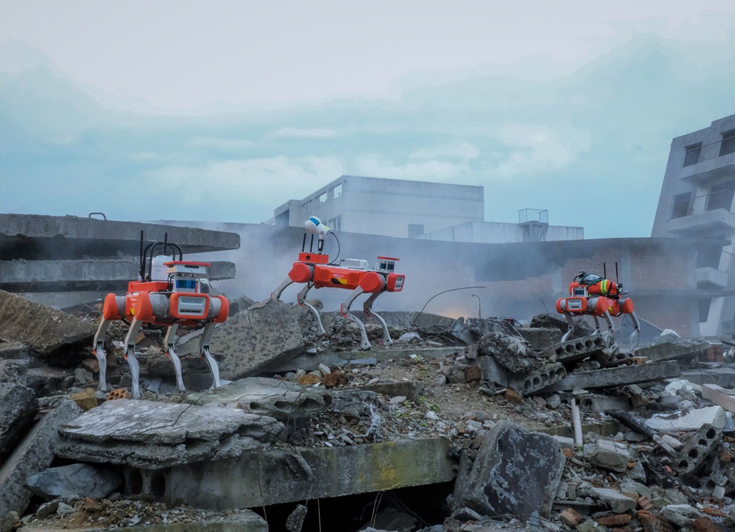 X30 quadruped robot dog
